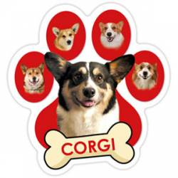 Corgi - Red Paw Magnet