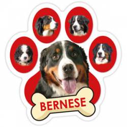 Bernese - With Bone Paw Magnet