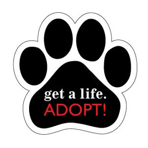 Get A Life, Adopt - Paw Magnet at Sticker Shoppe