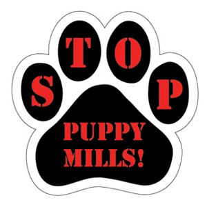 how can puppy mills be stopped