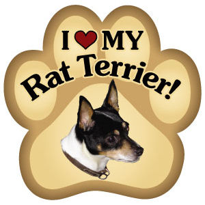 I love hot sale my rat terrier