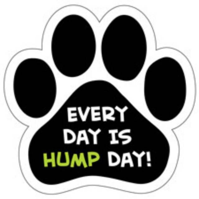 Every Day Is Hump Day