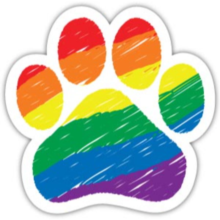 Rainbow Colors Paw Magnet At Sticker Shoppe