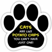 Cats Are Like Potato Chips You Can't Just Have One! - Paw Magnet