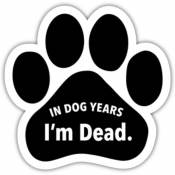 In Dog Years I'm Dead - Paw Magnet