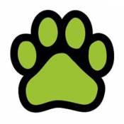 Paw - Lime Green Paw Magnet