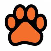 Paw - Orange Paw Magnet