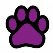 Paw - Purple Paw Magnet