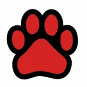 Paw - Red Paw Magnet