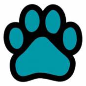 Paw - Teal Paw Magnet