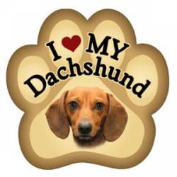 I Love My Dachshund - Paw Magnet
