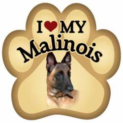 I Love My Belgian Malinois - Paw Magnet