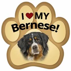 I Love My Bernese Mountain Dog - Paw Magnet