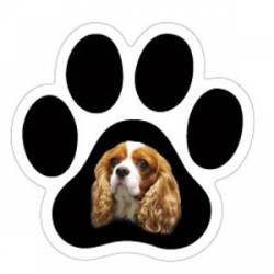 Cavalier King Charles - Mini Paw Magnet