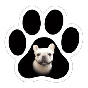 Frenchie - Mini Paw Magnet at Sticker Shoppe