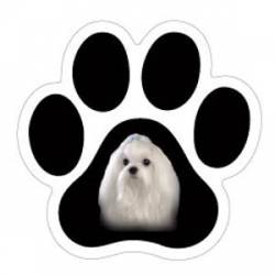 Maltese - Mini Paw Magnet