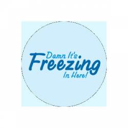 Damn It's Freezing In Here - Button