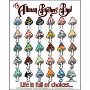 The Allman Brothers Band Life Is Full Of Choices - Vinyl Sticker