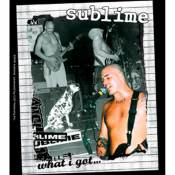 Sublime What I Got - Vinyl Sticker