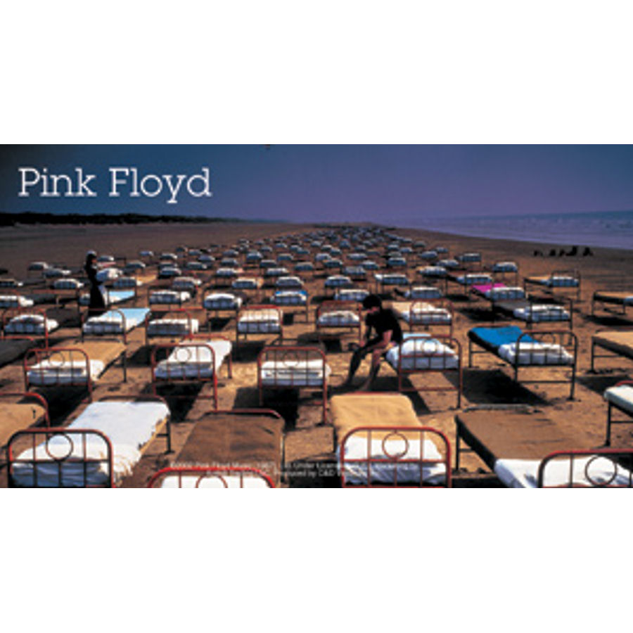 Pink Floyd Beds - Vinyl Sticker at Sticker Shoppe