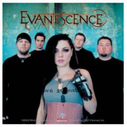 Evanesence Photo - Vinyl Sticker