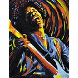 Jimi Hendrix Performs - Vinyl Sticker