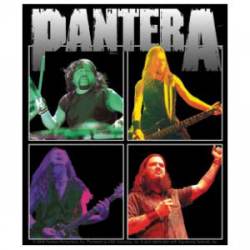 Pantera Photo - Vinyl Sticker