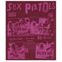 Sex Pistols No Future - Vinyl Sticker