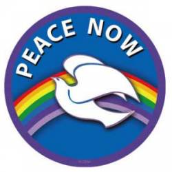 Peace Signs Peace Now Dove - Vinyl Sticker