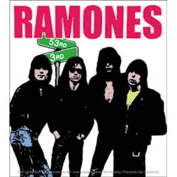 The Ramones 53rd & 3rd - Vinyl Sticker