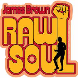 James Brown Raw Soul - Vinyl Sticker