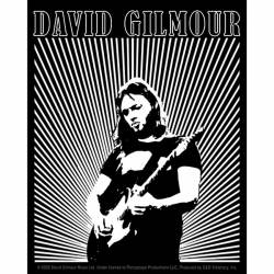 David Gilmour Lines Logo - Vinyl Sticker