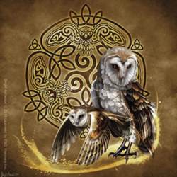 Brigid Ashwood Celtic Owl - Vinyl Sticker