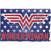 Wonder Woman Stars & Stripes - Vinyl Sticker