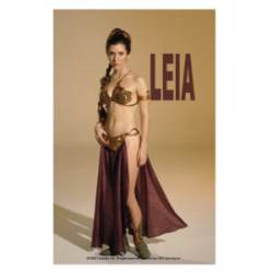 Star Wars Leia - Vinyl Sticker