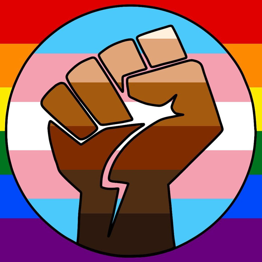 trans and gay flag icon