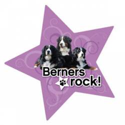 Berners Rock - Star Magnet