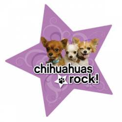 Chihuahuas Rock - Star Magnet