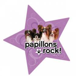 Papillons Rock - Star Magnet