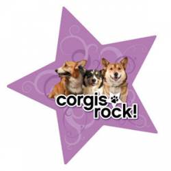 Corgis Rock - Star Magnet