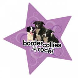 Border Collies Rock - Star Magnet