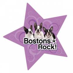 Bostons Rock - Star Magnet