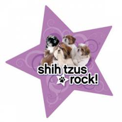 Shih Tzus Rock - Star Magnet