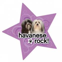 Havanese Rock - Star Magnet