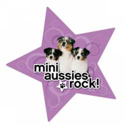 Mini Aussies Rock - Star Magnet