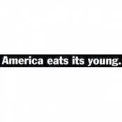 America Its Young - Sticker