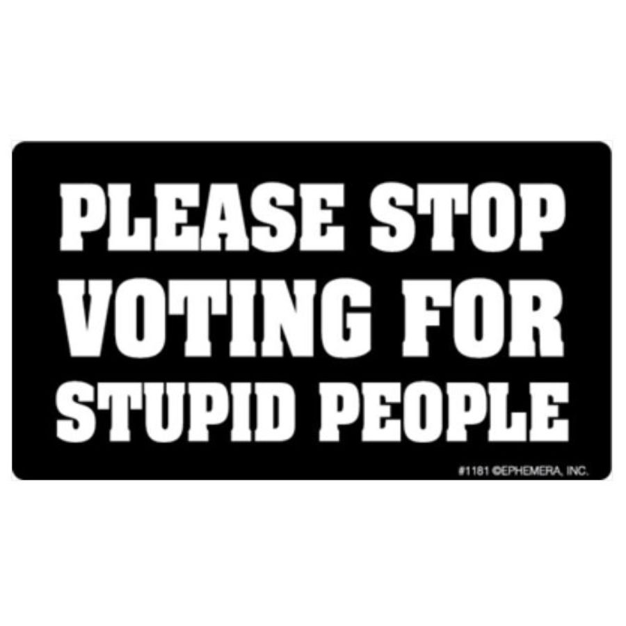 please-stop-voting-for-stupid-people-vinyl-sticker-at-sticker-shoppe