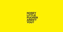 Nosey Little Fucker Aren't You? - Sticker