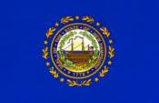 New Hampshire Flag - Sticker