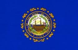 New Hampshire Flag - Sticker